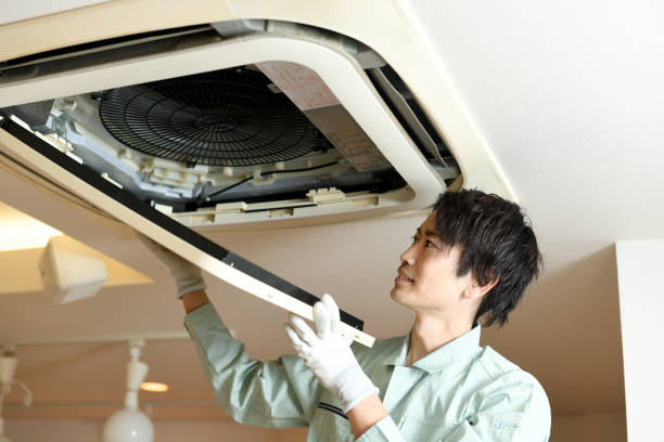Air Duct Mold Removal in MA